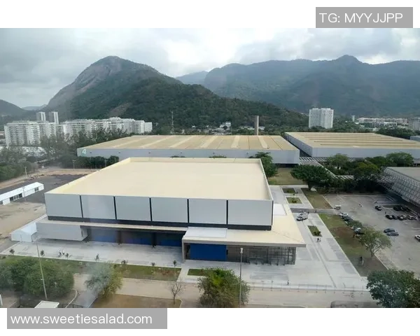 2025年中巴羽毛球友谊赛在美丽的巴西里约热内卢盛大举行