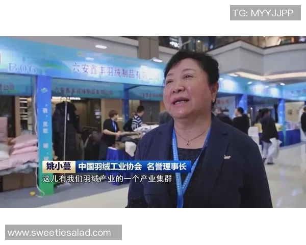 千万只白鹅迁徙六安助力百亿羽球羽绒产业腾飞